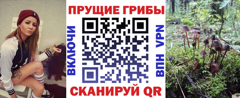 Галлюциногенные грибы прущие грибы  Купить  Бакал 
